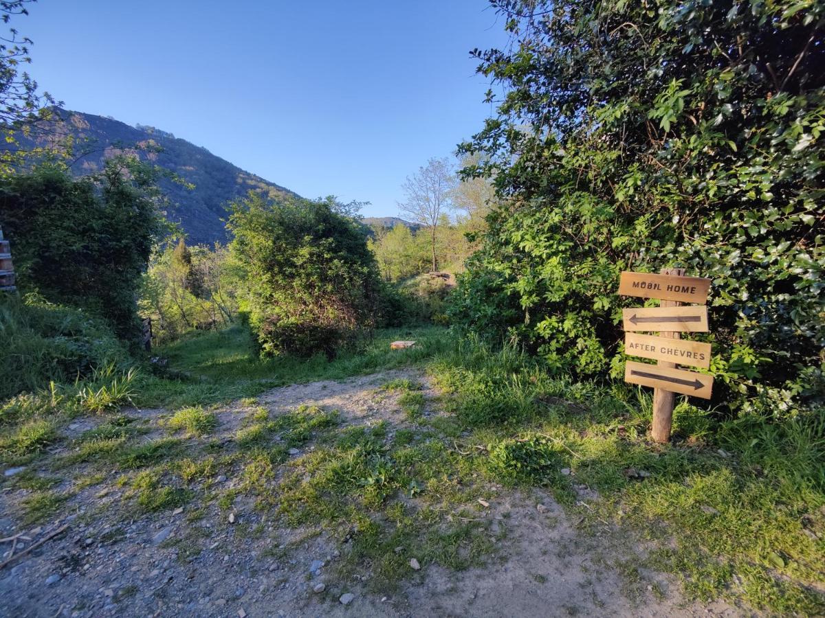 After-chevres * Villefort (Lozere)